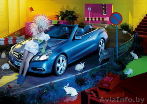 продам декоротивного кролика #91979