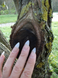 Маникюр, наращивание ногтей без спила ногтевой пластины! #96548