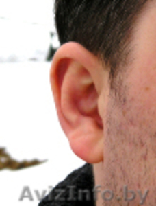 Микуронаушник для сдачи экзаменов  (продажа, прокат) #90224