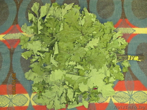 веники для бань дубовые березавые #102002