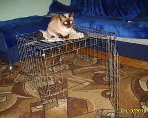 Клетка для собаки #97113