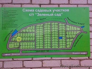 Участок С/Т Зеленый сад #103942