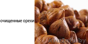 GeoBusiness Group  #113728