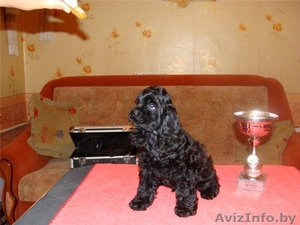 Налетай торопись!! Срочно НЕДОРОГО!! #103354