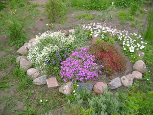 Продается дом на берегу озера. в Лепеле #110134