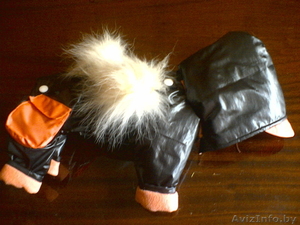 ОДЕЖДА ДЛЯ КОТОВ И СОБАК #105963