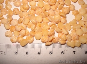 Горох колотый желтый #104638