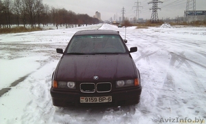 Отдам хорошего друга в надежные руки - за небольшое вознаграждение) #112707