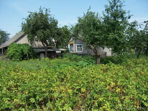 Усадьба в г.п. Старобин #110630