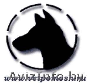 Ветеринарная помощь на дому #111754