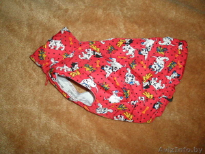 Жилет для собачки #115110