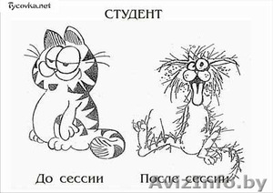 работы для студентов #116395