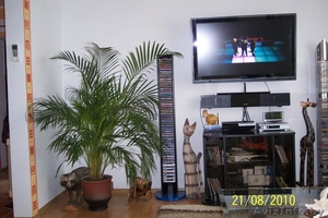  Сдаю квартиру на часы и сутки в Пинске ... #121947