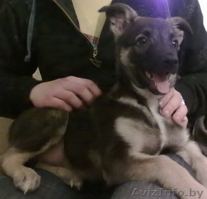 Спасите жизнь! Не будьте равнодушными #120106