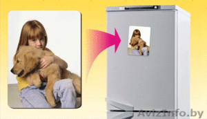 Фотомагниты magnez.by #124543