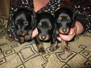 Валерий Яковлевич #120012