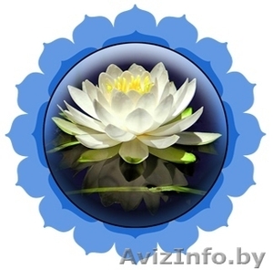 Химчистка ковров,  мягкой мебели. Уборка квартир,  офисов,  коттеджей #120091