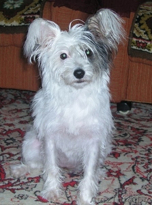 самый лучший подарок #115591