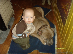 Ордам в добрые руки #128618