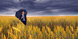 ФОТОДОМ ВИТЕБСК #136048