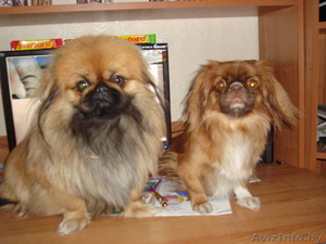 andreevich10.@tut.by #141698