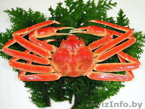  Муляжи продуктов питания ,   изготовление и продажа #143221