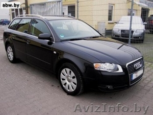 Продам в хорошие руки! #174386