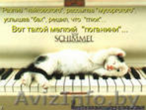 пианино рояли настройка 44 7387838 #159082