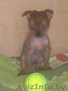 не пожалеете спешите! #159396