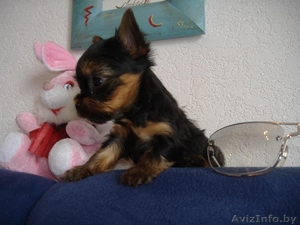 Таня Хрущ  1970 #161616