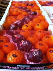 Фрукты и овощи из Испании . #170588