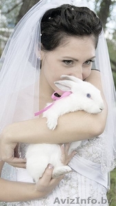 свадебный эксклюзив. Свадебные КРОЛИКИ #104673