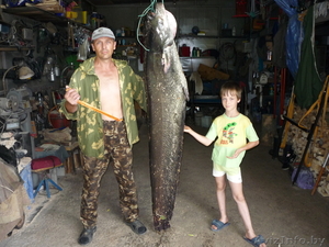 Квоки для ловли сома! #208599