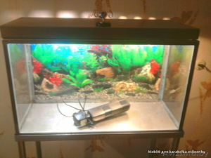 продам аквариум на стойке 120 литров #209527