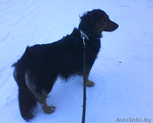 Пропал друг семьи... #197765