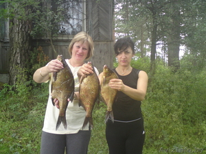 Сдам домик на озере с баней(200 км.от Минска) #117222