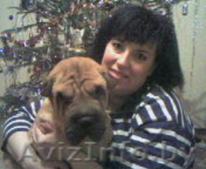 Домашний бизнес с ООО Сам себе директор #213475