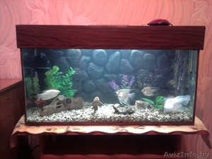 продам аквариум #199890