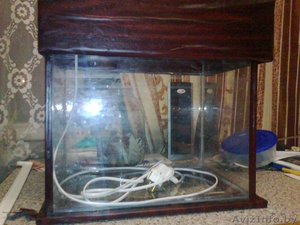 продам аквариум 30 литров. #208296
