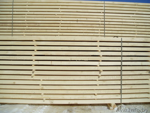 Производим пиломатериалы из ели естественной влажности #206674