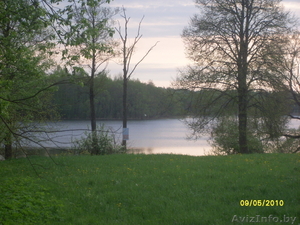 продажа дачи в д. Деревянки Поставский р-н (170 км от Минска) #202941