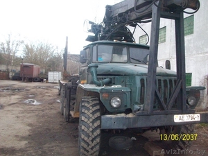 Возим,  грузим,   лес #241397