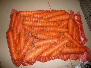 ETSDIESEL  AGROLOG #232061