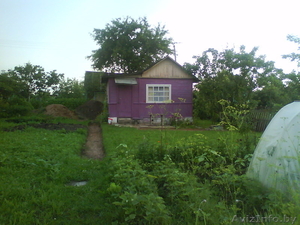 Дача Витебск Улановичи- Ольгово #231150