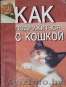 Лисовская Е. Как подружиться с кошкой #217680