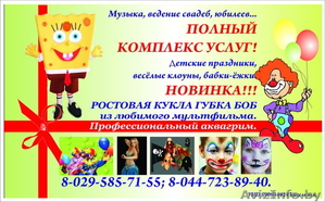 Кисель Юлия ,  kisel.iulia@mail.ru,  +375447238940,  +375295857155 #203984