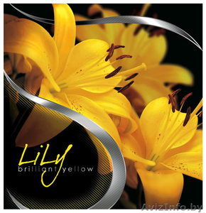 пакеты с пластиковыми ручками  компании MiF #225036