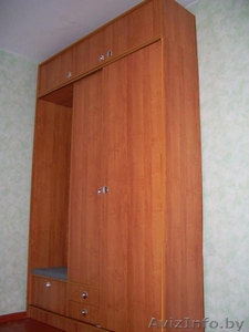 Шкаф-КУПЕ с элементами прихожей #230849