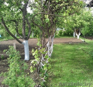 Дача.Жигалова-2 #242709