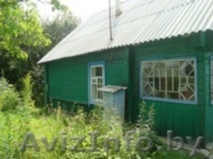 Витебская область Лиозно  #225431